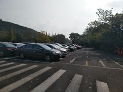 -上海佘山国家森林公园东门地面停车场