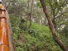 -妙峰山风景名胜区