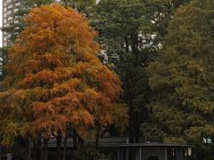 -四海公园(南山区)