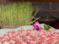 -谭鸭血老火锅·匠心(环球港旗舰店)