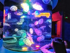 -太平洋海底世界