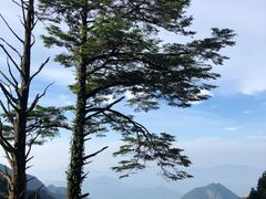 -日上山庄中餐厅