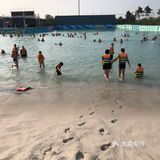 玩海玩水玩动物，当然优选无与伦比的欧乐堡