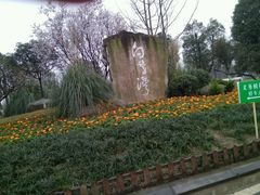 -白鹭湾湿地公园