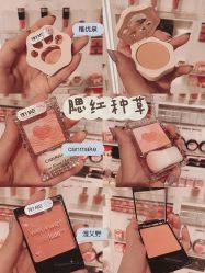 -THE COLORIST调色师