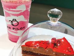 -飞行喵MR PILOT|猫舍·猫咖(静安大融城店)