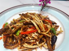 -丁老爷子苏香圆