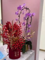 -Dr.U博士医疗美容医院