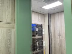 -半岛宠物医院24小时(白果林店)