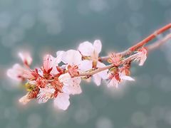 -颐和园