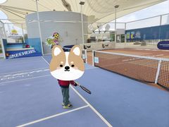 -Our Pickleball多多动匹克球俱乐部(世博源店)