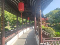 -花溪公园