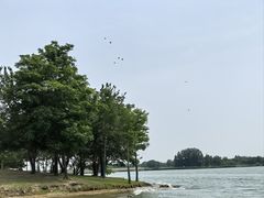 -金沙湖旅游度假区
