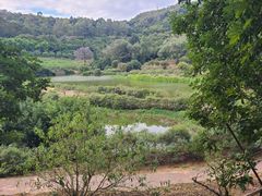 -南国桃园旅游度假区