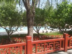 -燕郊植物园
