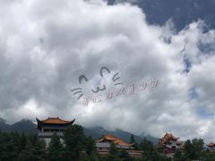 -三塔倒影公园