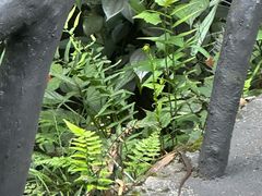 -神龙峡风景区