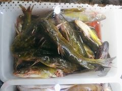 -畲乡一品鱼府土菜馆
