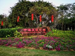 -中澳友谊花园
