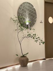-依霖·艺术·SPA