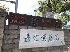 -嘉定紫藤园