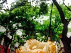 -潘玉麟糖粥
