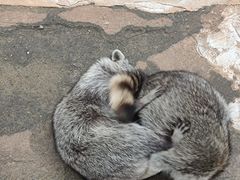 -杭州野生动物世界