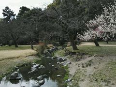 -京都御所