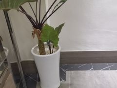 -湖锦酒楼·30年经典湖北菜(沌口店)