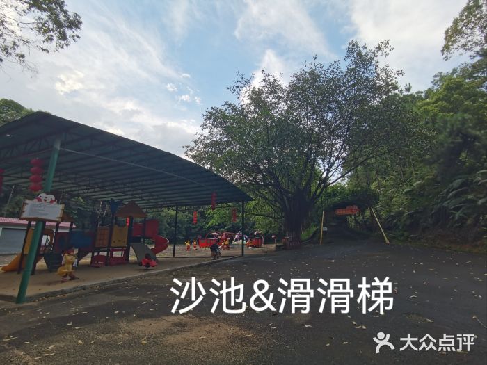 三水森林公园图片