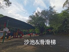 -三水森林公园