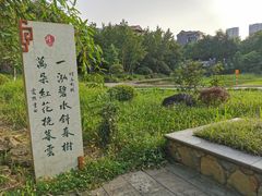 -重庆彩云湖湿地公园