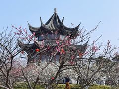 -上海海湾国家森林公园