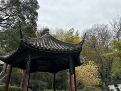 -兴福禅寺