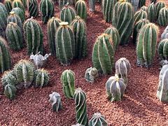 -南通洲际绿博园