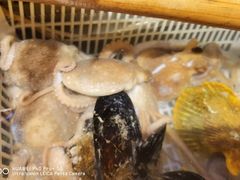 -沈家门海鲜夜排档(东港店)