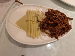 -金蝉食府(维吉奥广场店)