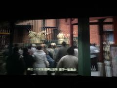-嘉华国际影城(学清路店)