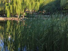 -玲珑塔公园