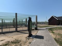 -盐城丹顶鹤湿地生态旅游区