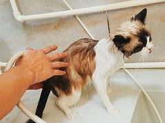 -沐沐家宠物(成寿寺店)