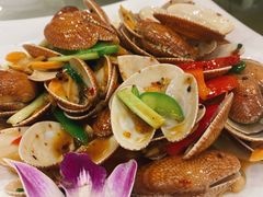 炒花甲-四海之家(蛇口店)