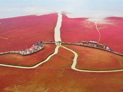 -红海滩国家风景廊道