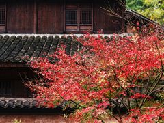 -杭州植物园