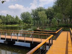 -东郊湿地公园
