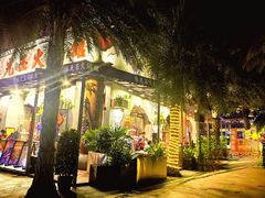 -三亚海昌梦幻海洋不夜城