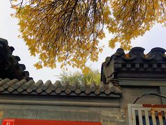 -古耳咖啡(北锣店)