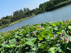-携程旅游(中山公园旗舰店)