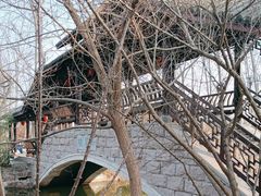 -合肥滨湖国家森林公园