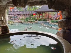 -万象温泉景区